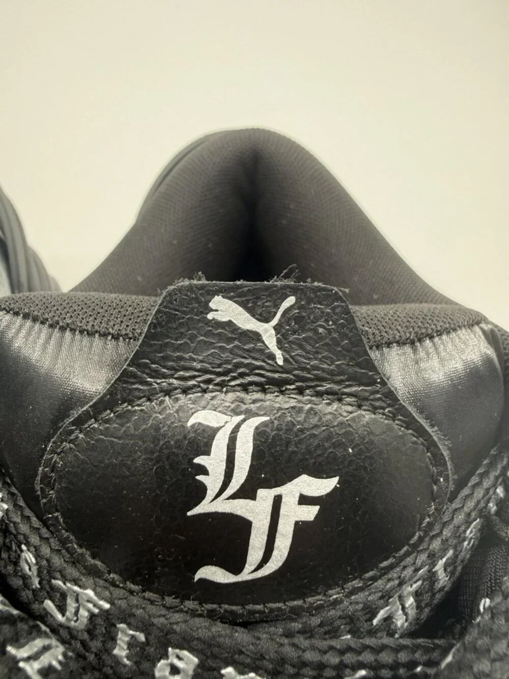 Puma brand model